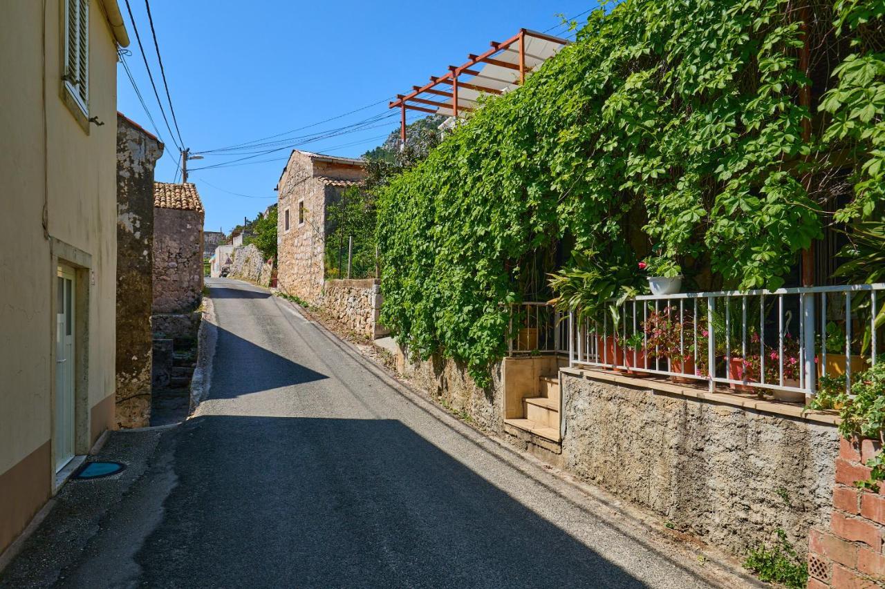 Stone House Biskup Apartment Babino Polje Bagian luar foto